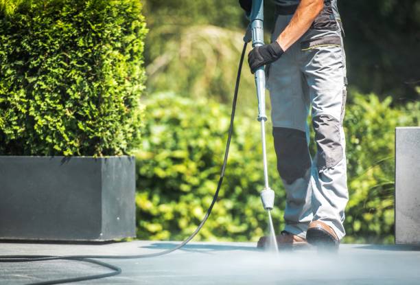 Best Soft Washing for Delicate Surfaces in Tuolumne City, CA